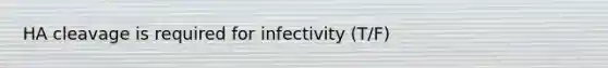 HA cleavage is required for infectivity (T/F)