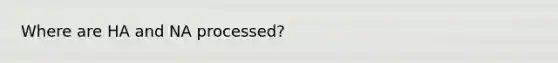 Where are HA and NA processed?