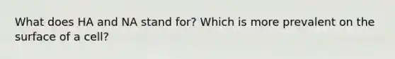 What does HA and NA stand for? Which is more prevalent on the surface of a cell?