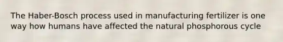 The Haber-Bosch process used in manufacturing fertilizer is one way how humans have affected the natural phosphorous cycle