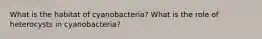 What is the habitat of cyanobacteria? What is the role of heterocysts in cyanobacteria?