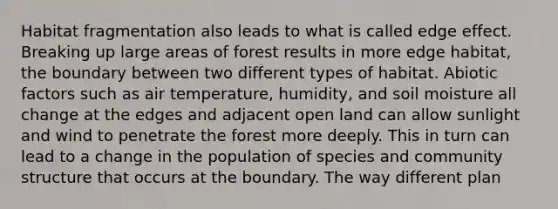 Habitat fragmentation also leads to what is called edge effect. Breaking up large areas of forest results in more edge habitat, the boundary between two different types of habitat. Abiotic factors such as air temperature, humidity, and soil moisture all change at the edges and adjacent open land can allow sunlight and wind to penetrate the forest more deeply. This in turn can lead to a change in the population of species and community structure that occurs at the boundary. The way different plan