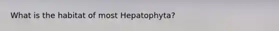 What is the habitat of most Hepatophyta?