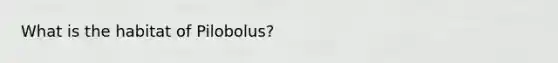 What is the habitat of Pilobolus?