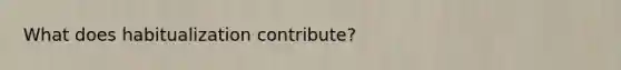 What does habitualization contribute?