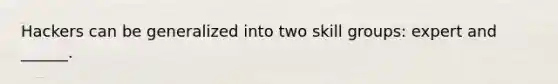 Hackers can be generalized into two skill groups: expert and ______.