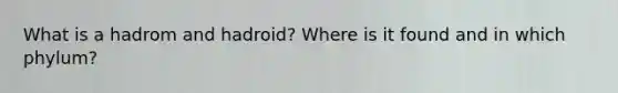 What is a hadrom and hadroid? Where is it found and in which phylum?