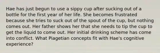 Hae has just begun to use a sippy cup after sucking out of a bottle for the first year of her life. She becomes frustrated because she tries to suck out of the spout of the cup, but nothing comes out. Her father shows her that she needs to tip the cup to get the liquid to come out. Her initial drinking scheme has come into conflict. What Piagetian concepts fit with Hae's cognitive experience?