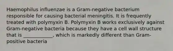 Haemophilus influenzae is a Gram-negative bacterium responsible for causing bacterial meningitis. It is frequently treated with polymyxin B. Polymyxin B works exclusively against Gram-negative bacteria because they have a cell wall structure that is ____________, which is markedly different than Gram-positive bacteria