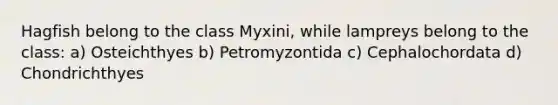 Hagfish belong to the class Myxini, while lampreys belong to the class: a) Osteichthyes b) Petromyzontida c) Cephalochordata d) Chondrichthyes