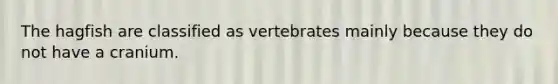 The hagfish are classified as vertebrates mainly because they do not have a cranium.