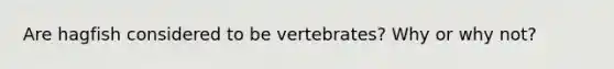 Are hagfish considered to be vertebrates? Why or why not?