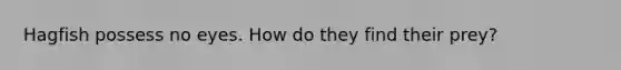 Hagfish possess no eyes. How do they find their prey?