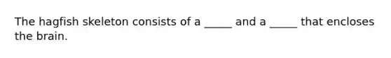 The hagfish skeleton consists of a _____ and a _____ that encloses the brain.