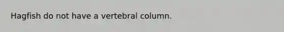 Hagfish do not have a <a href='https://www.questionai.com/knowledge/ki4fsP39zf-vertebral-column' class='anchor-knowledge'>vertebral column</a>.