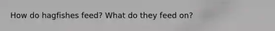 How do hagfishes feed? What do they feed on?