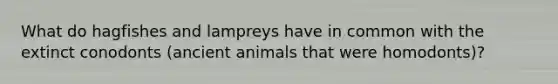 What do hagfishes and lampreys have in common with the extinct conodonts (ancient animals that were homodonts)?