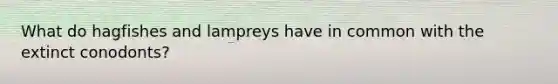 What do hagfishes and lampreys have in common with the extinct conodonts?