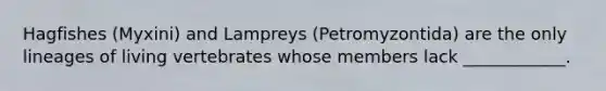 Hagfishes (Myxini) and Lampreys (Petromyzontida) are the only lineages of living vertebrates whose members lack ____________.