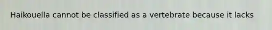 Haikouella cannot be classified as a vertebrate because it lacks