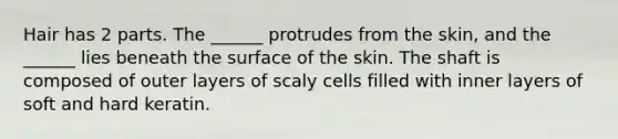 Hair has 2 parts. The ______ protrudes from the skin, and the ______ lies beneath the surface of the skin. The shaft is composed of outer layers of scaly cells filled with inner layers of soft and hard keratin.