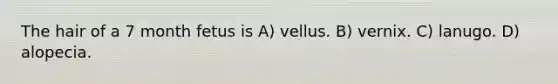 The hair of a 7 month fetus is A) vellus. B) vernix. C) lanugo. D) alopecia.