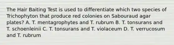 The Hair Baiting Test is used to differentiate which two species of Trichophyton that produce red colonies on Sabouraud agar plates? A. T. mentagrophytes and T. rubrum B. T. tonsurans and T. schoenleinii C. T. tonsurans and T. violaceum D. T. verrucosum and T. rubrum