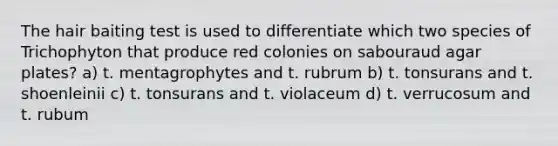 The hair baiting test is used to differentiate which two species of Trichophyton that produce red colonies on sabouraud agar plates? a) t. mentagrophytes and t. rubrum b) t. tonsurans and t. shoenleinii c) t. tonsurans and t. violaceum d) t. verrucosum and t. rubum