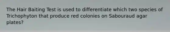 The Hair Baiting Test is used to differentiate which two species of Trichophyton that produce red colonies on Sabouraud agar plates?