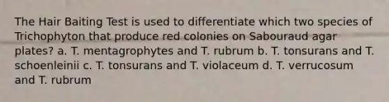 The Hair Baiting Test is used to differentiate which two species of Trichophyton that produce red colonies on Sabouraud agar plates? a. T. mentagrophytes and T. rubrum b. T. tonsurans and T. schoenleinii c. T. tonsurans and T. violaceum d. T. verrucosum and T. rubrum