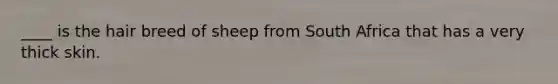 ____ is the hair breed of sheep from South Africa that has a very thick skin.
