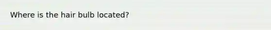 Where is the hair bulb located?