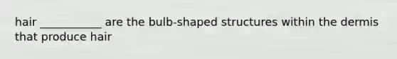 hair ___________ are the bulb-shaped structures within the dermis that produce hair
