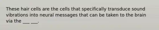 These hair cells are the cells that specifically transduce sound vibrations into neural messages that can be taken to the brain via the ___ ___.