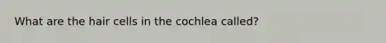 What are the hair cells in the cochlea called?