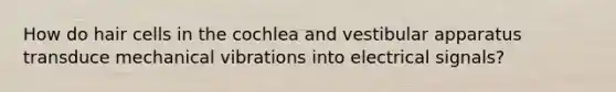 How do hair cells in the cochlea and vestibular apparatus transduce mechanical vibrations into electrical signals?