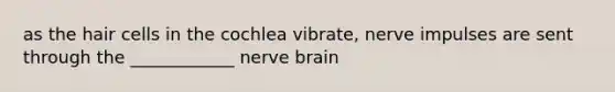 as the hair cells in the cochlea vibrate, nerve impulses are sent through the ____________ nerve brain