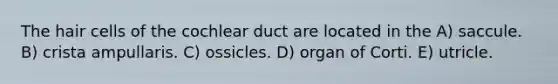 The hair cells of the cochlear duct are located in the A) saccule. B) crista ampullaris. C) ossicles. D) organ of Corti. E) utricle.