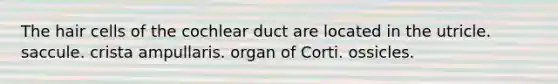 The hair cells of the cochlear duct are located in the utricle. saccule. crista ampullaris. organ of Corti. ossicles.