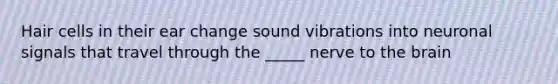 Hair cells in their ear change sound vibrations into neuronal signals that travel through the _____ nerve to the brain