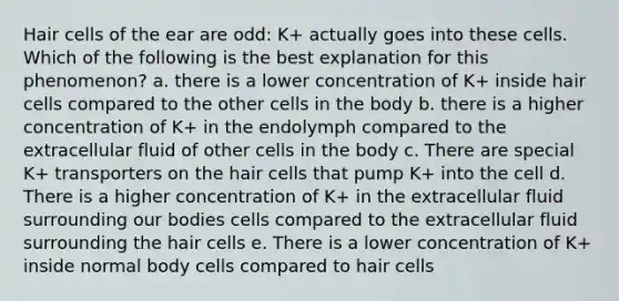 Hair cells of the ear are odd: K+ actually goes into these cells. Which of the following is the best explanation for this phenomenon? a. there is a lower concentration of K+ inside hair cells compared to the other cells in the body b. there is a higher concentration of K+ in the endolymph compared to the extracellular fluid of other cells in the body c. There are special K+ transporters on the hair cells that pump K+ into the cell d. There is a higher concentration of K+ in the extracellular fluid surrounding our bodies cells compared to the extracellular fluid surrounding the hair cells e. There is a lower concentration of K+ inside normal body cells compared to hair cells