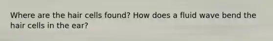 Where are the hair cells found? How does a fluid wave bend the hair cells in the ear?