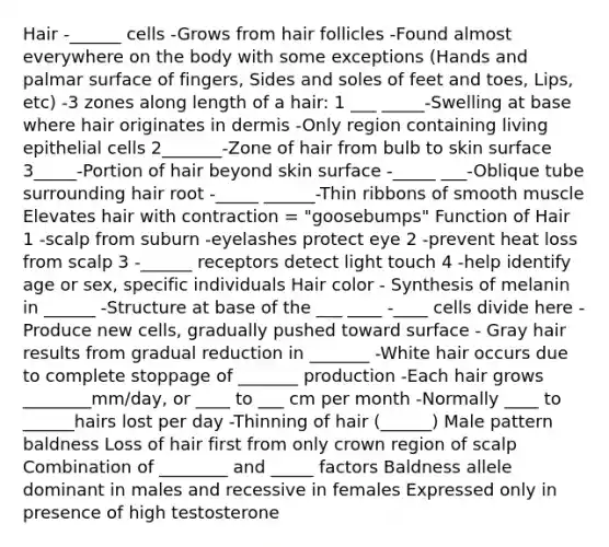 Hair -______ cells -Grows from hair follicles -Found almost everywhere on the body with some exceptions (Hands and palmar surface of fingers, Sides and soles of feet and toes, Lips, etc) -3 zones along length of a hair: 1 ___ _____-Swelling at base where hair originates in dermis -Only region containing living epithelial cells 2_______-Zone of hair from bulb to skin surface 3_____-Portion of hair beyond skin surface -_____ ___-Oblique tube surrounding hair root -_____ ______-Thin ribbons of smooth muscle Elevates hair with contraction = "goosebumps" Function of Hair 1 -scalp from suburn -eyelashes protect eye 2 -prevent heat loss from scalp 3 -______ receptors detect light touch 4 -help identify age or sex, specific individuals Hair color - Synthesis of melanin in ______ -Structure at base of the ___ ____ -____ cells divide here -Produce new cells, gradually pushed toward surface - Gray hair results from gradual reduction in _______ -White hair occurs due to complete stoppage of _______ production -Each hair grows ________mm/day, or ____ to ___ cm per month -Normally ____ to ______hairs lost per day -Thinning of hair (______) Male pattern baldness Loss of hair first from only crown region of scalp Combination of ________ and _____ factors Baldness allele dominant in males and recessive in females Expressed only in presence of high testosterone