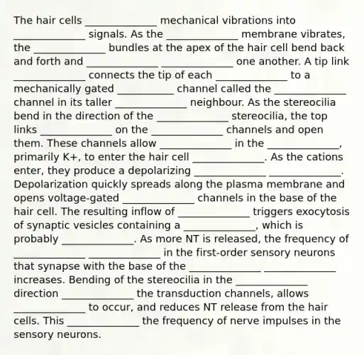 The hair cells ______________ mechanical vibrations into ______________ signals. As the ______________ membrane vibrates, the ______________ bundles at the apex of the hair cell bend back and forth and ______________ ______________ one another. A tip link ______________ connects the tip of each ______________ to a mechanically gated ___________ channel called the ______________ channel in its taller ______________ neighbour. As the stereocilia bend in the direction of the ______________ stereocilia, the top links ______________ on the ______________ channels and open them. These channels allow ______________ in the ______________, primarily K+, to enter the hair cell ______________. As the cations enter, they produce a depolarizing ______________ ______________. Depolarization quickly spreads along the plasma membrane and opens voltage-gated ______________ channels in the base of the hair cell. The resulting inflow of ______________ triggers exocytosis of synaptic vesicles containing a ______________, which is probably ______________. As more NT is released, the frequency of ______________ ______________ in the first-order sensory neurons that synapse with the base of the ______________ ______________ increases. Bending of the stereocilia in the ______________ direction ______________ the transduction channels, allows ______________ to occur, and reduces NT release from the hair cells. This ______________ the frequency of nerve impulses in the sensory neurons.