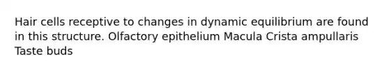 Hair cells receptive to changes in dynamic equilibrium are found in this structure. Olfactory epithelium Macula Crista ampullaris Taste buds