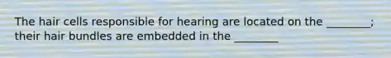 The hair cells responsible for hearing are located on the ________; their hair bundles are embedded in the ________