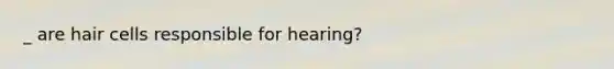 _ are hair cells responsible for hearing?