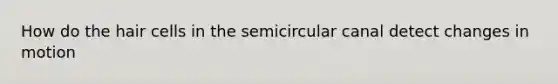 How do the hair cells in the semicircular canal detect changes in motion