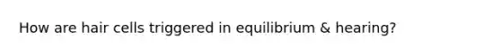 How are hair cells triggered in equilibrium & hearing?