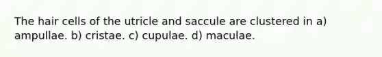 The hair cells of the utricle and saccule are clustered in a) ampullae. b) cristae. c) cupulae. d) maculae.